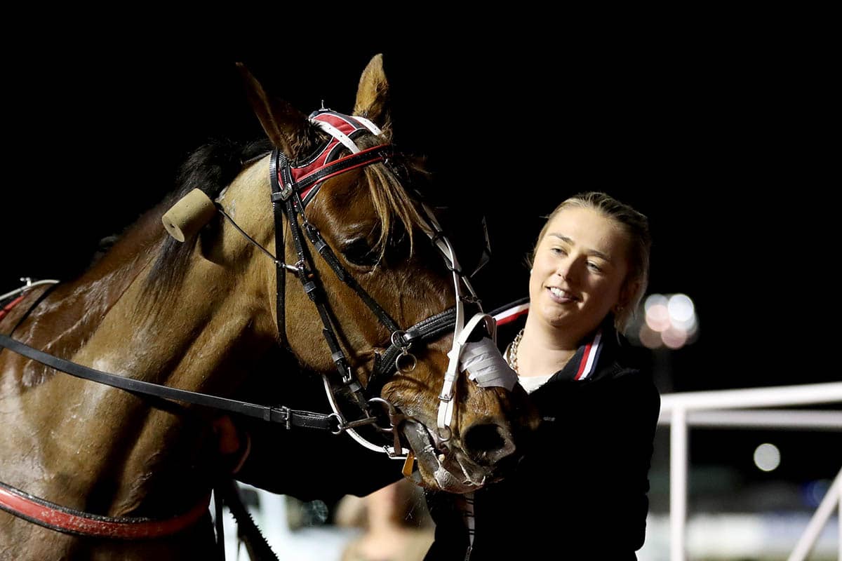 Person patting horse